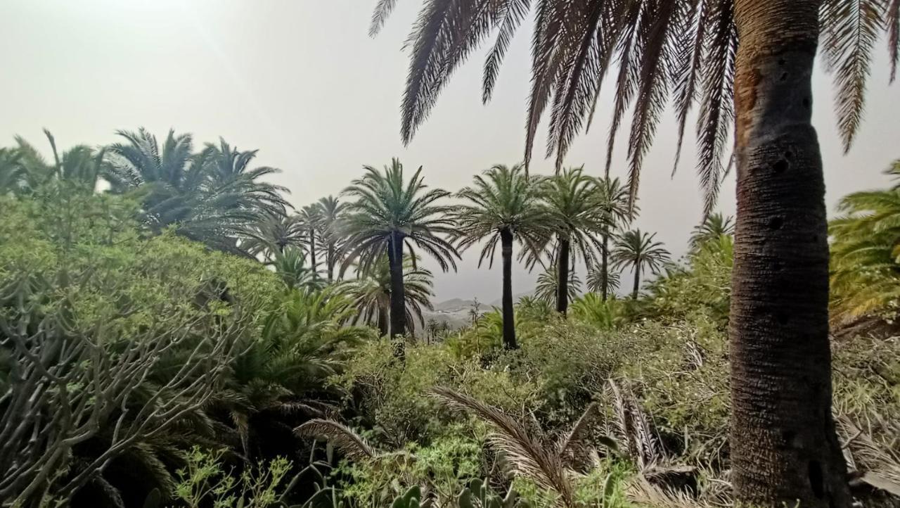 Alquilaencanarias Casa La Playa La Gomera Alojera Bagian luar foto